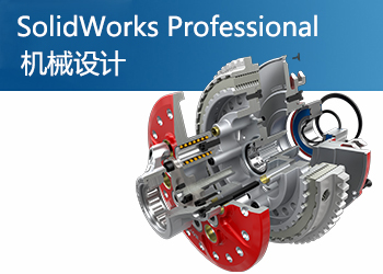 SolidWorks Professional 专业版